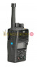 Entel DX446L